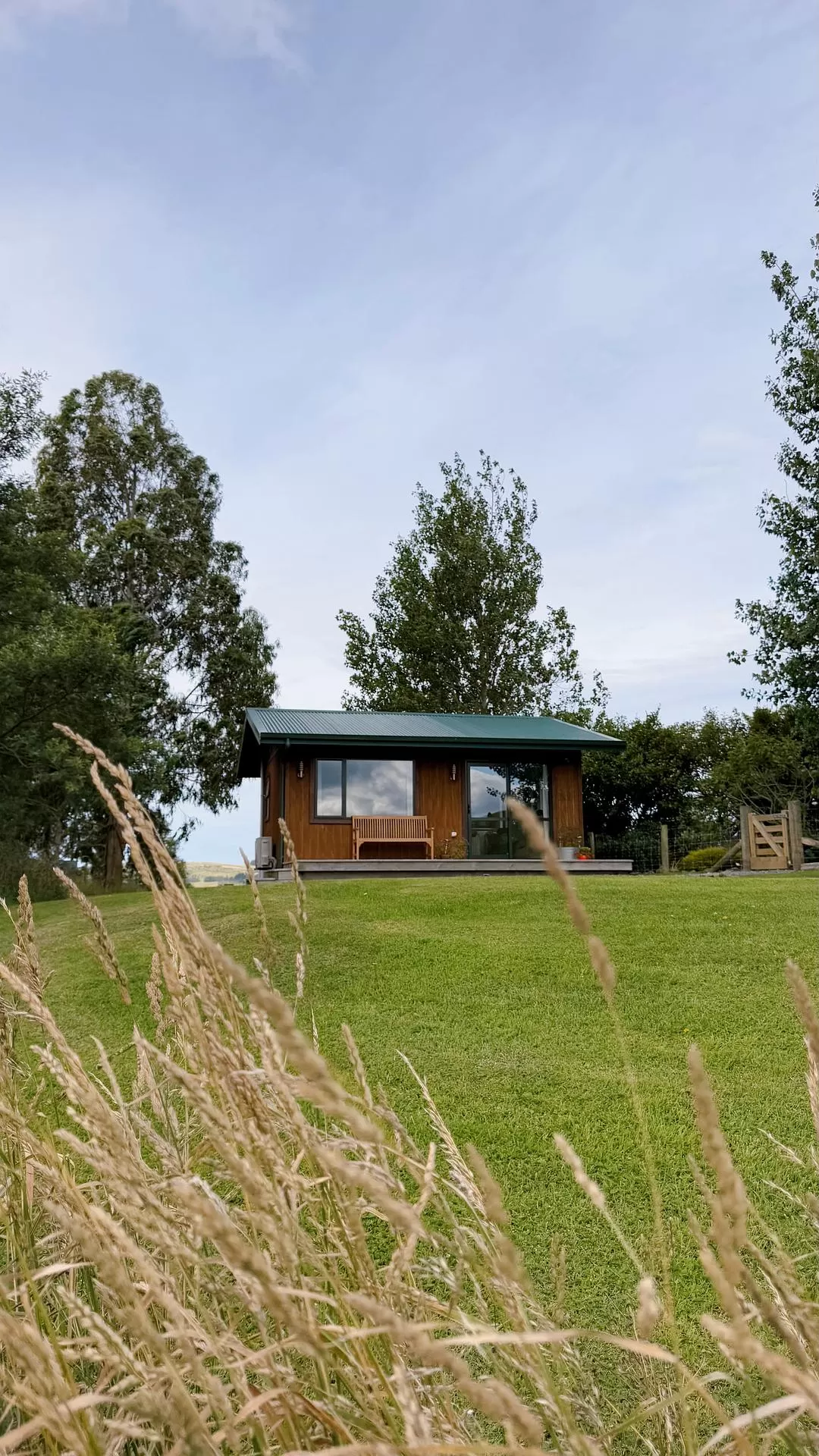 旅游推荐国外游：🇳🇿新西兰南岛自驾，雪🥇山草原森林湖泊峡湾星空大海