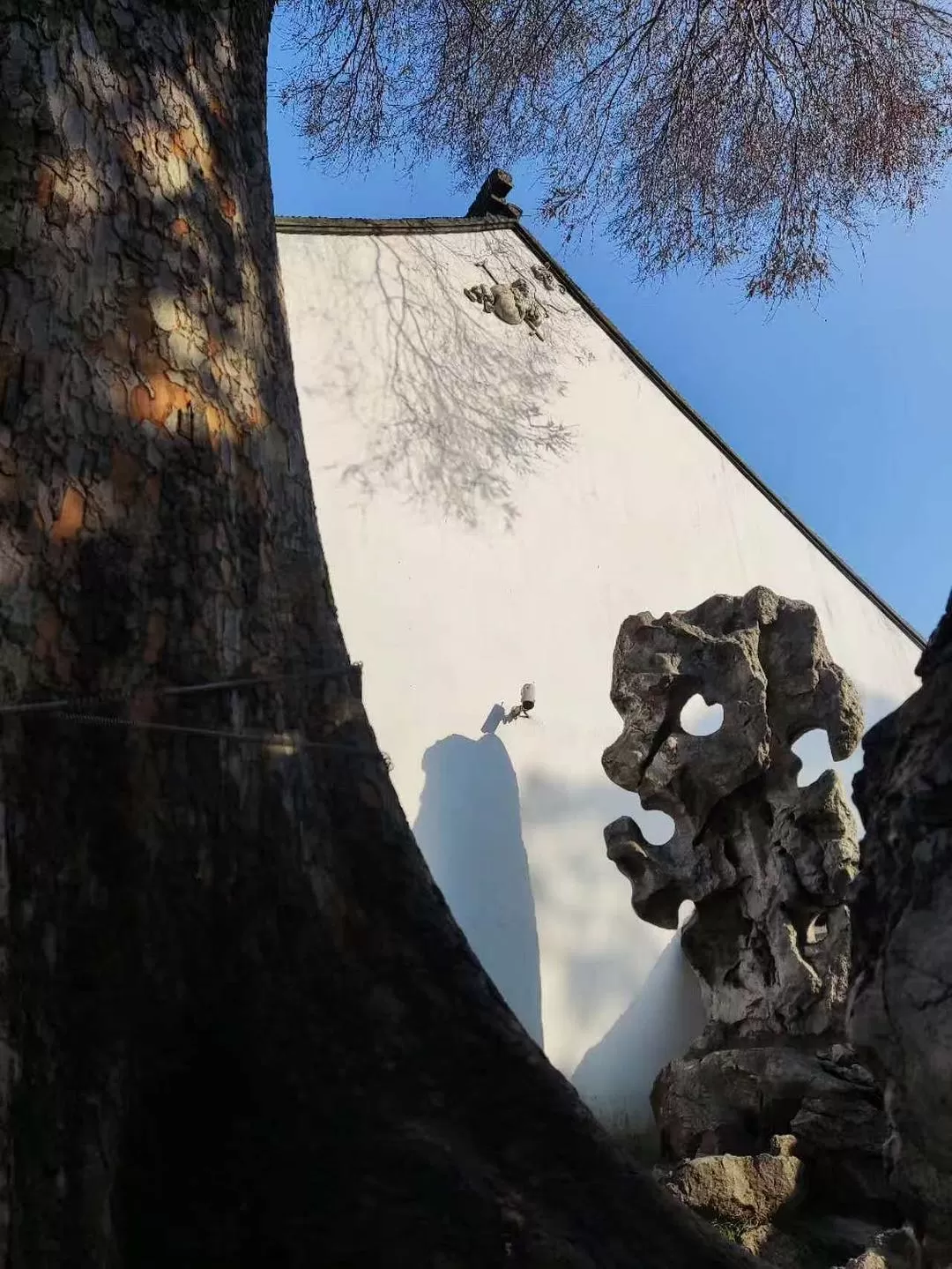 旅游推荐一🥈人游:寒假里的苏州三日游~~