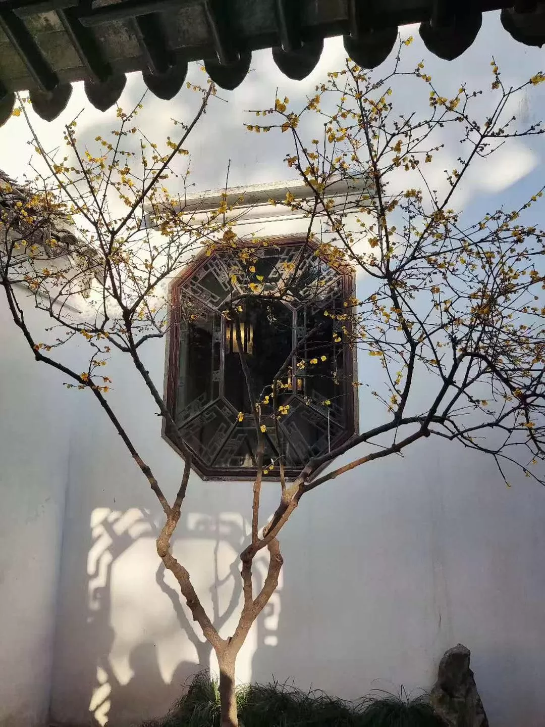 旅游推荐一🥈人游:寒假里的苏州三日游~~