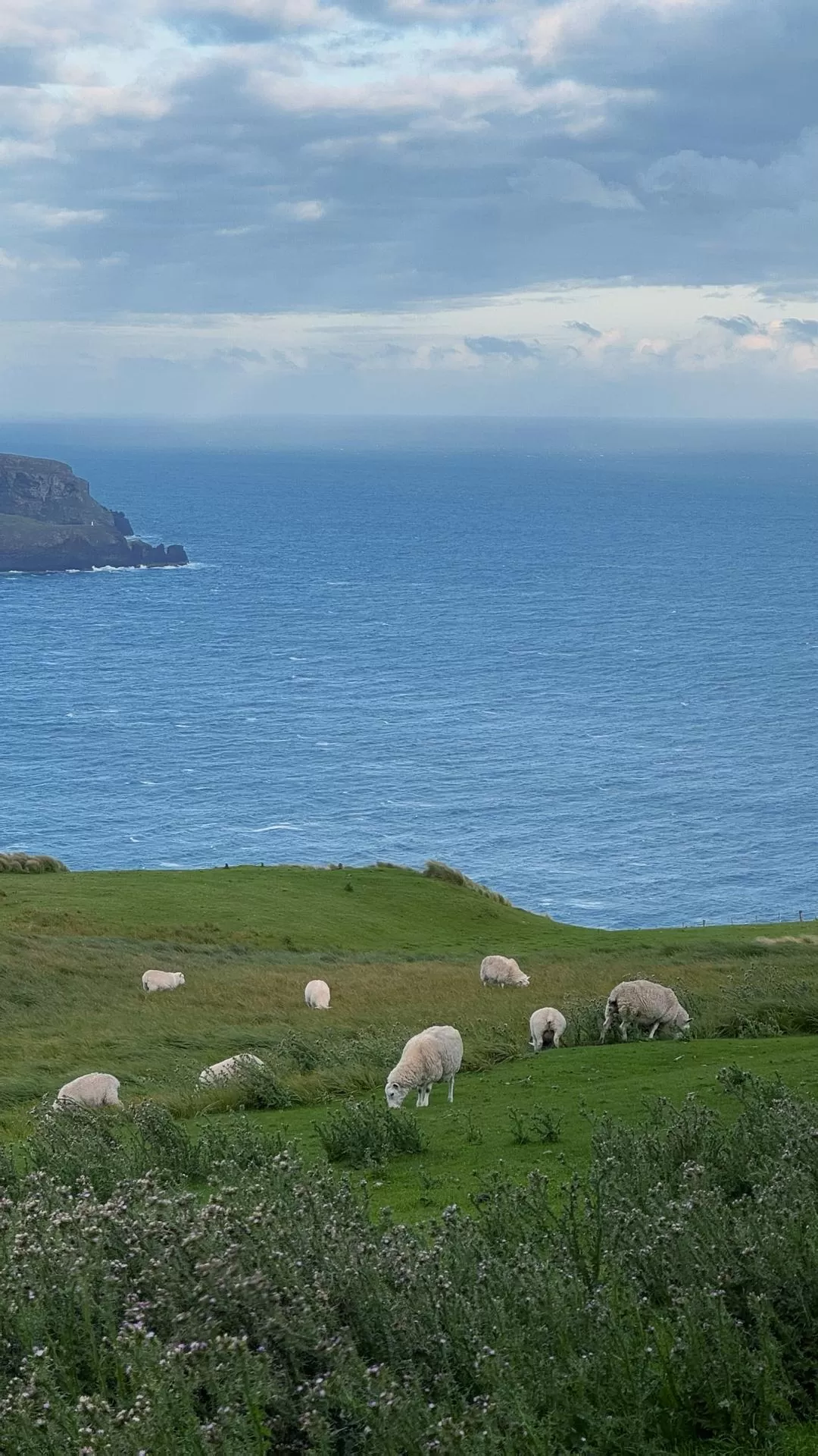 旅游推荐国外游：🇳🇿新西兰南岛自驾，雪🥇山草原森林湖泊峡湾星空大海