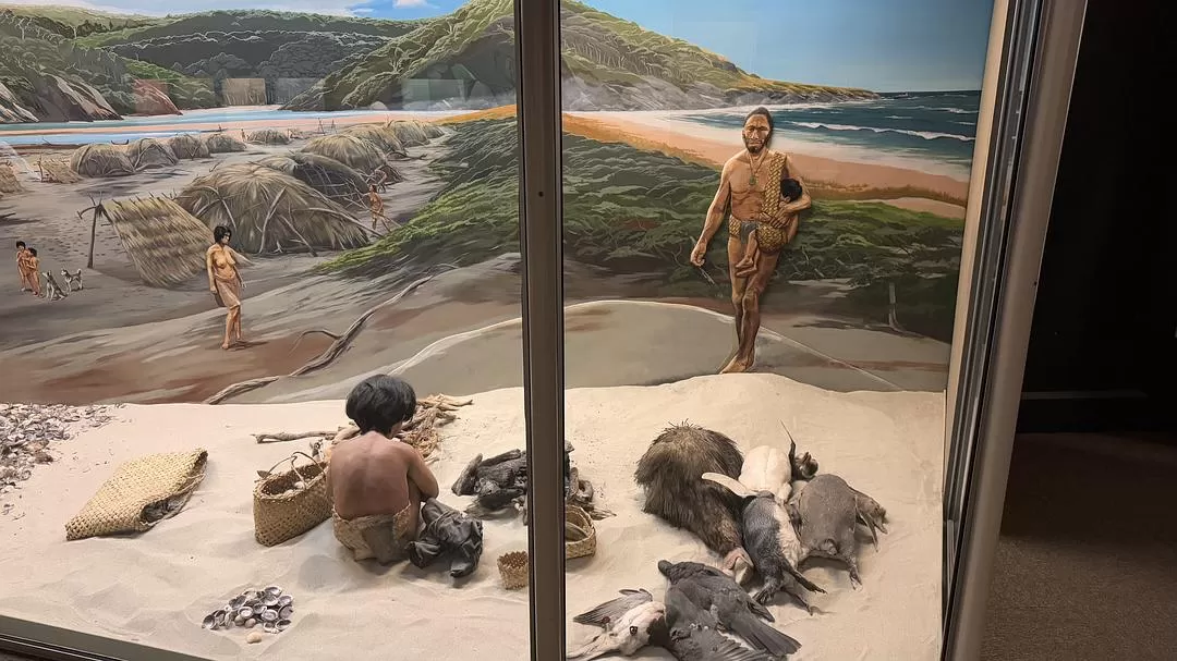 旅游推荐国外游：🇳🇿新西兰南岛自驾，雪🥇山草原森林湖泊峡湾星空大海