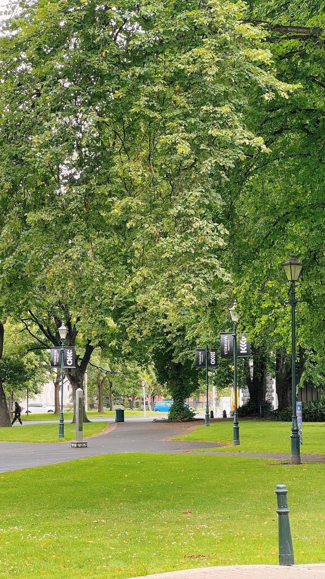 旅游推荐国外游：🇳🇿新西兰南岛自驾，雪🥇山草原森林湖泊峡湾星空大海