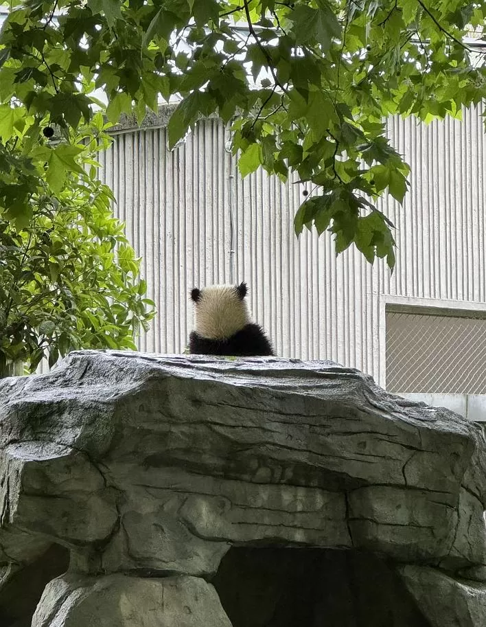 旅游推荐离职之后，我骑着烂摩托从北京到西藏、新疆……✨(1)