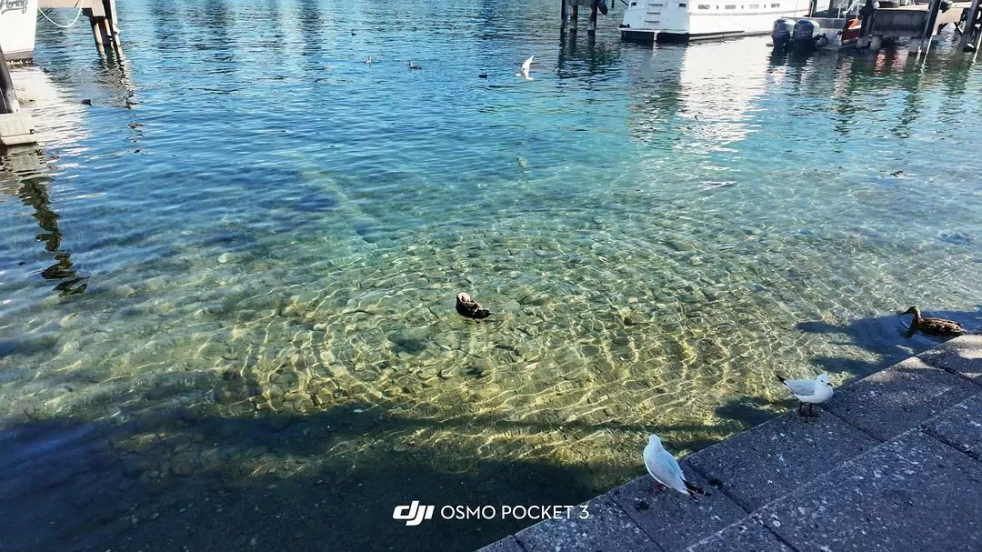 旅游推荐国外游：🇳🇿新西兰南岛自驾，雪🥇山草原森林湖泊峡湾星空大海