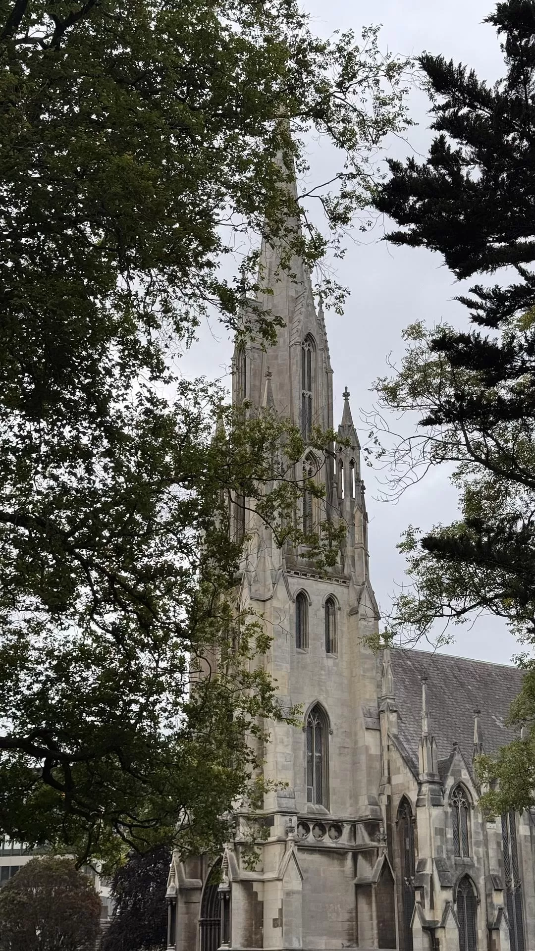 旅游推荐国外游:🇳🇿新西兰南岛自驾,雪🥇山草原森林湖泊峡湾星空大海