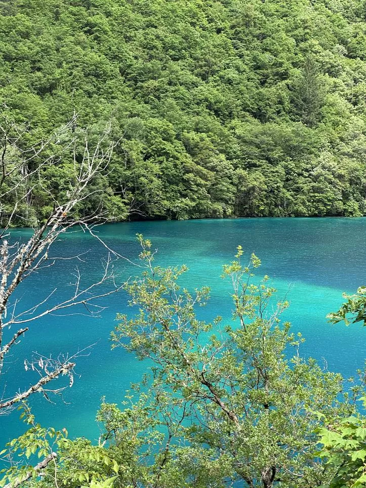 旅游推荐离职之后，我骑着烂摩托从北京到西藏、新疆……✨(1)