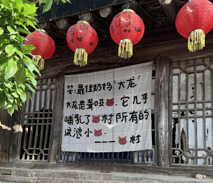 旅游推荐离职之后，我骑着烂摩托从北京到西藏、新疆……✨(1)