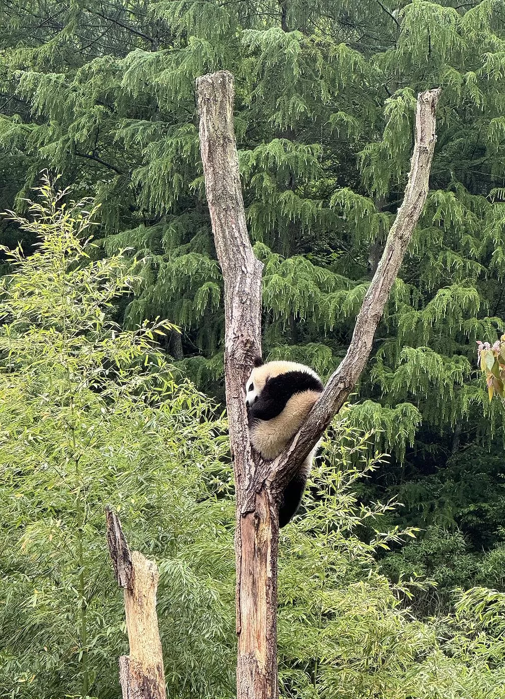 旅游推荐离职之后，我骑着烂摩托从北京到西藏、新疆……✨(1)