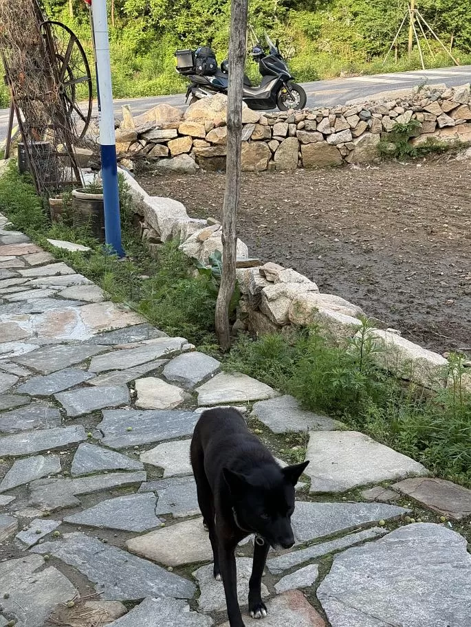 旅游推荐离职之后，我骑着烂摩托从北京到西藏、新疆……✨(1)