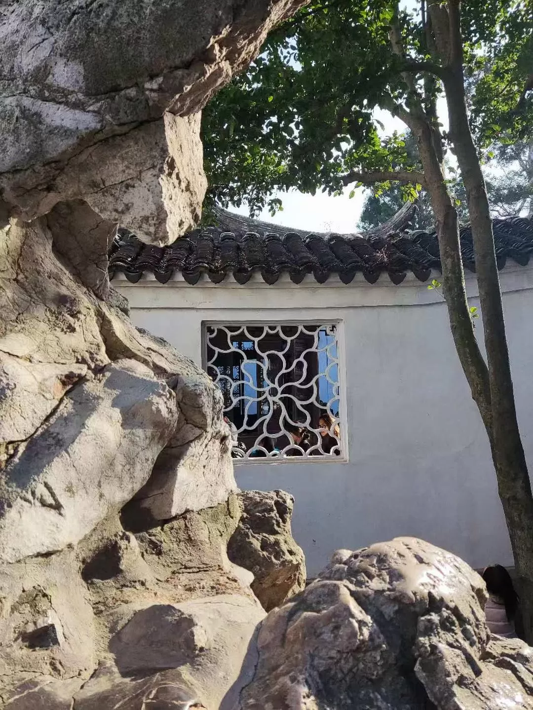 旅游推荐一🥈人游:寒假里的苏州三日游~~