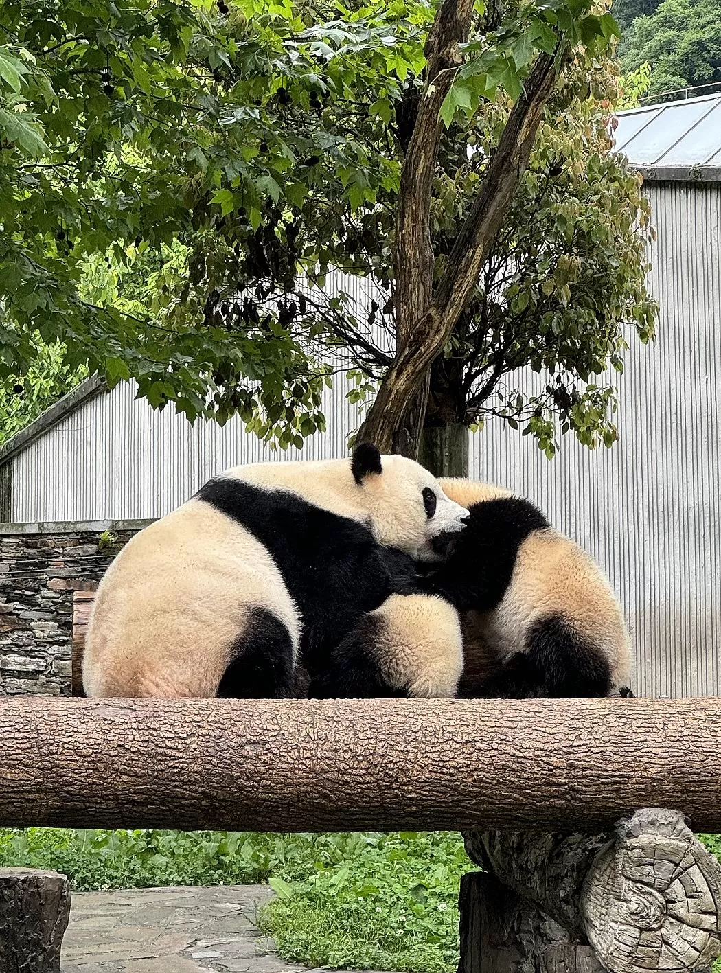 旅游推荐离职之后，我骑着烂摩托从北京到西藏、新疆……✨(1)
