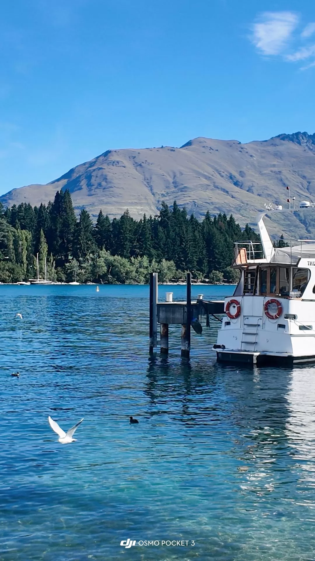 旅游推荐国外游:🇳🇿新西兰南岛自驾,雪🥇山草原森林湖泊峡湾星空大海