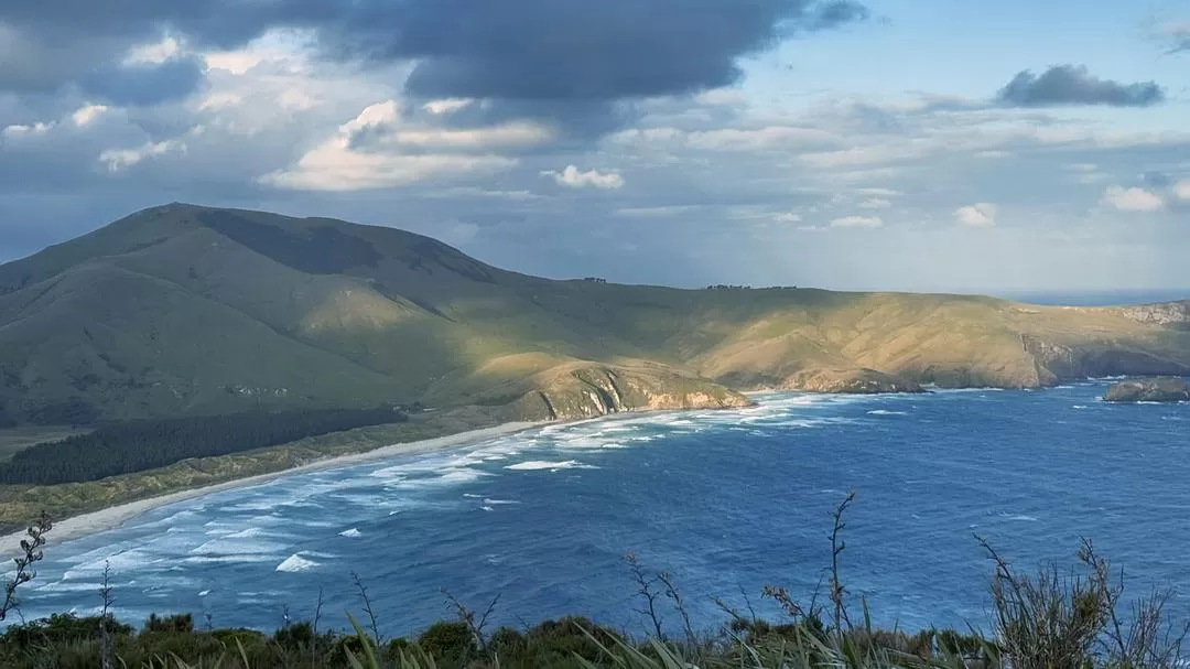 旅游推荐国外游:🇳🇿新西兰南岛自驾,雪🥇山草原森林湖泊峡湾星空大海