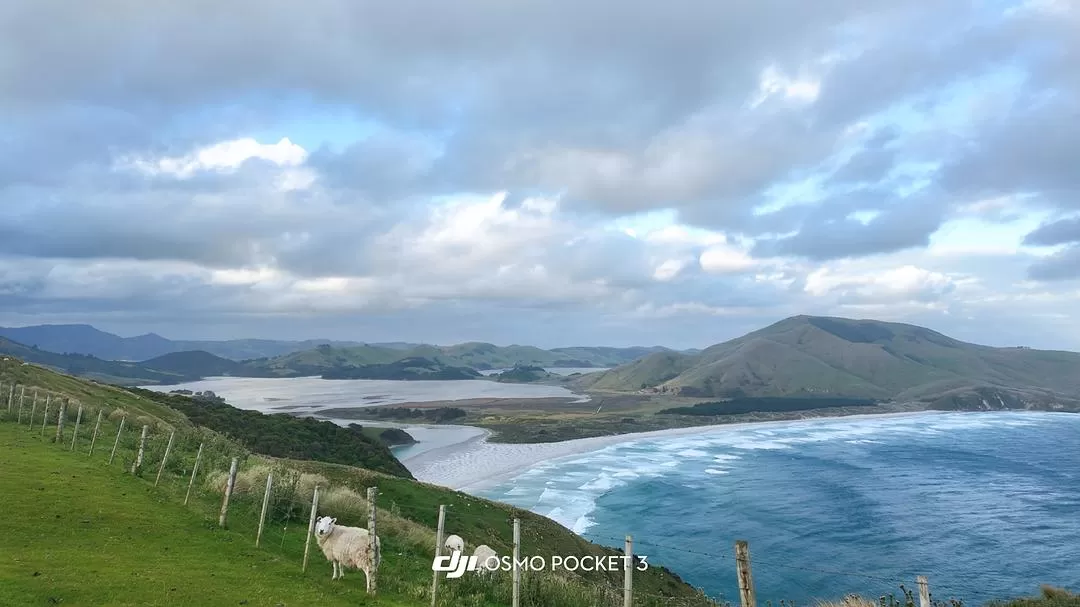 旅游推荐国外游：🇳🇿新西兰南岛自驾，雪🥇山草原森林湖泊峡湾星空大海
