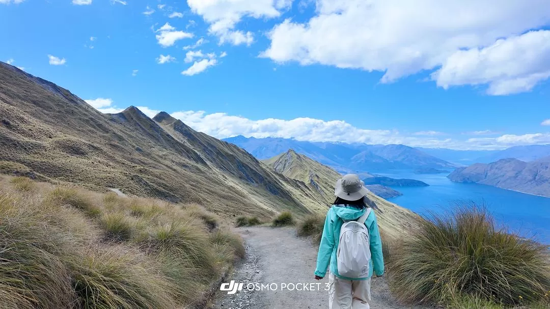 旅游推荐国外游：🇳🇿新西兰南岛自驾，雪🥇山草原森林湖泊峡湾星空大海