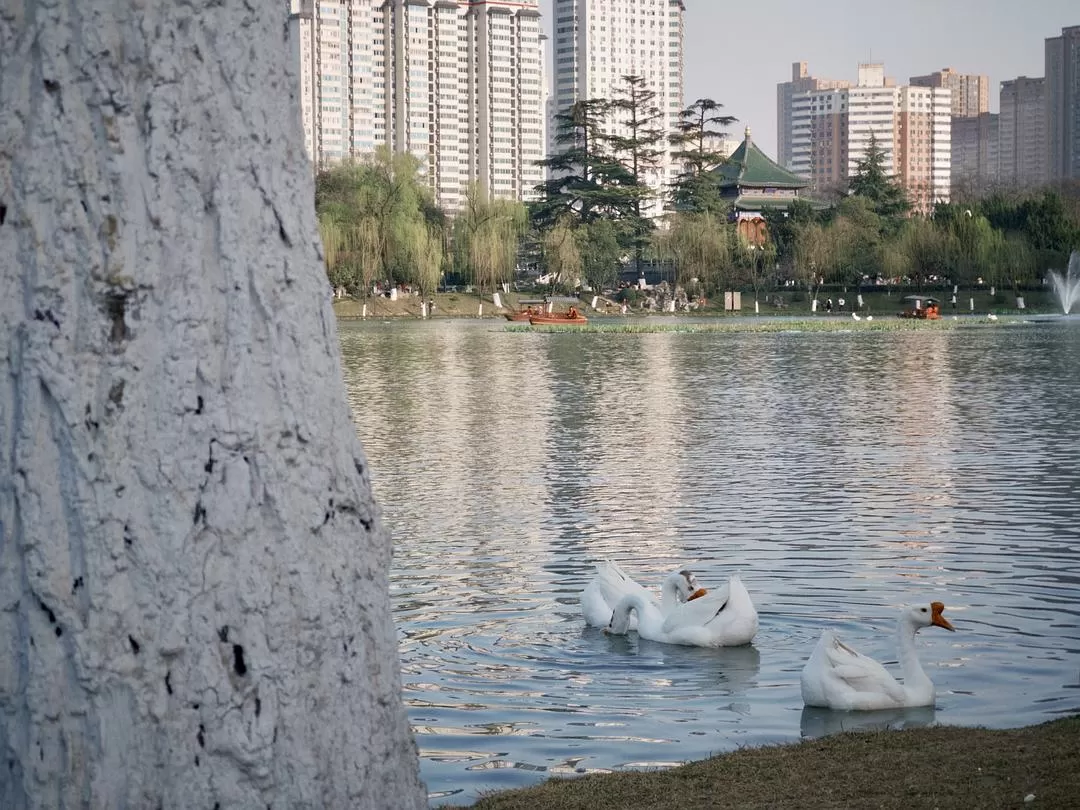 旅游推荐一人游：在城🌟市旅行是白天不想出门和晚上出门吃饭的连续…西安重庆游（更新中）