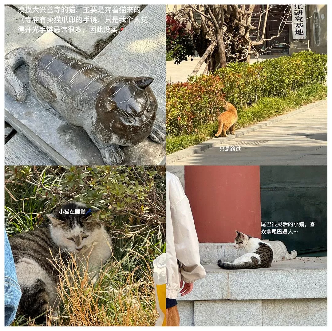 旅游推荐一人游：在城🌟市旅行是白天不想出门和晚上出门吃饭的连续…西安重庆游（更新中）