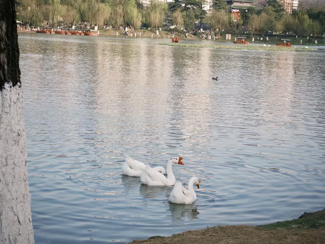 旅游推荐一人游：在城🌟市旅行是白天不想出门和晚上出门吃饭的连续…西安重庆游（更新中）