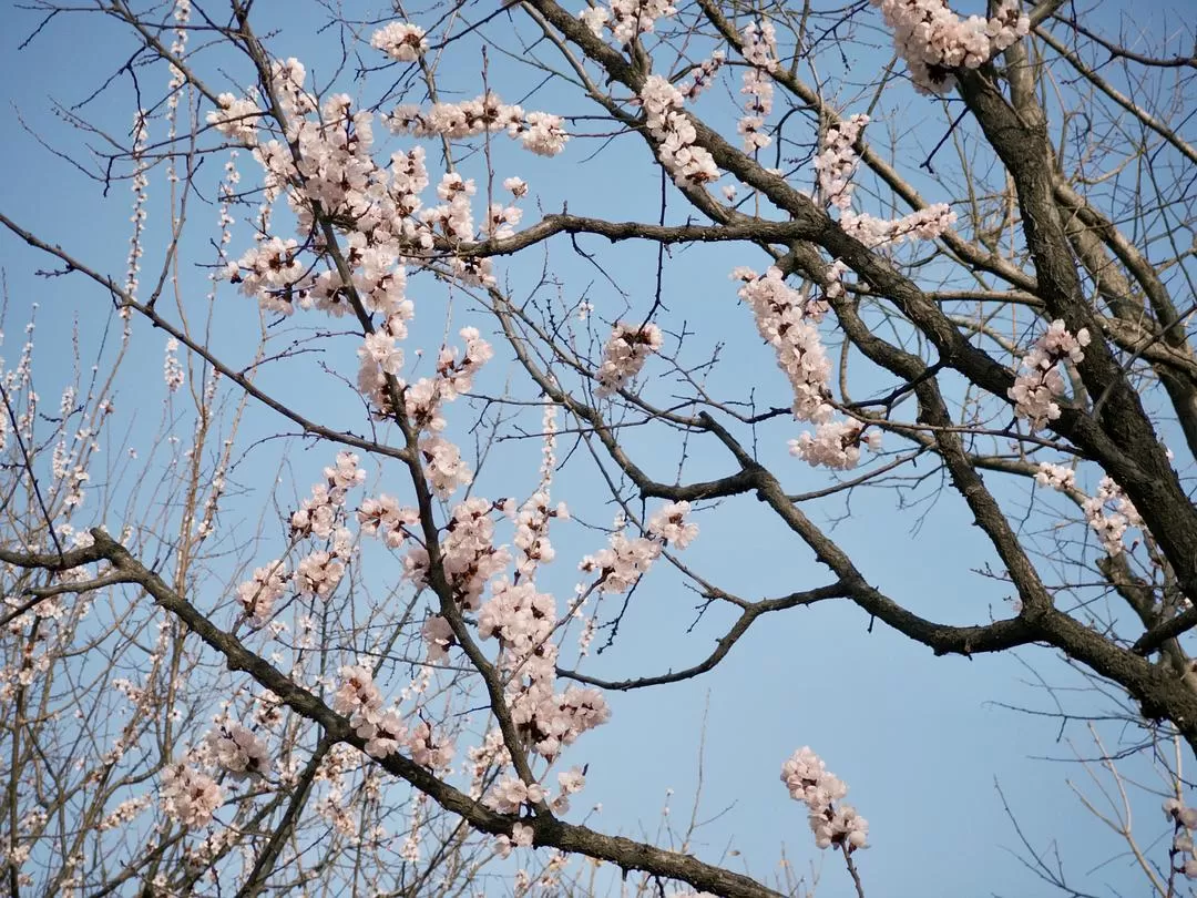 旅游推荐一人游：在城🌟市旅行是白天不想出门和晚上出门吃饭的连续…西安重庆游（更新中）