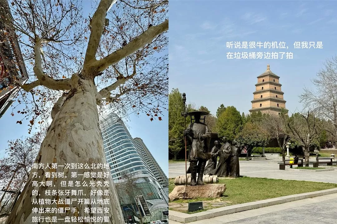 旅游推荐一人游：在城🌟市旅行是白天不想出门和晚上出门吃饭的连续…西安重庆游（更新中）