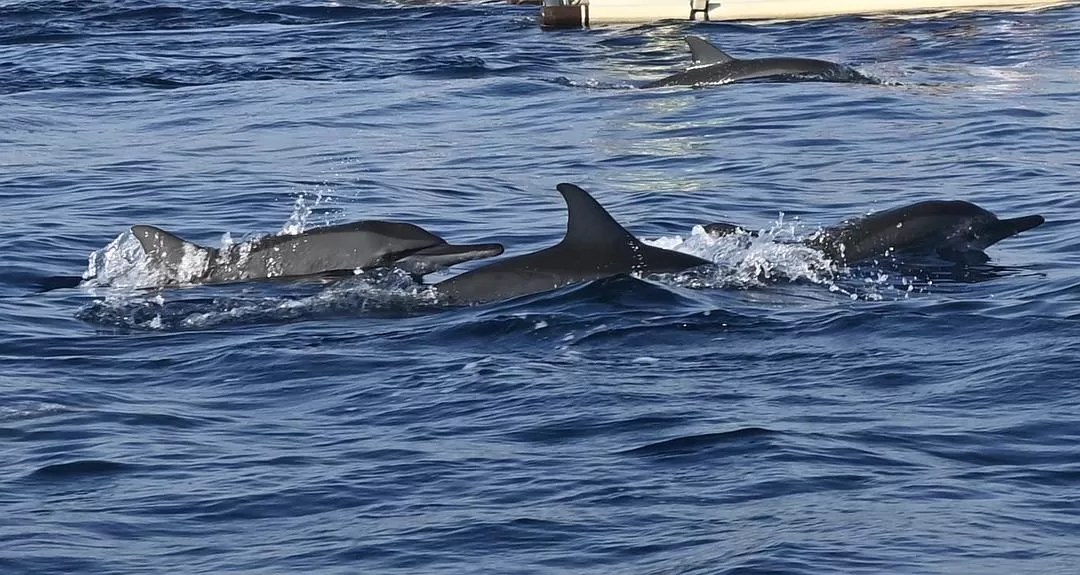 旅游推荐国外游：国庆8天7晚📢印尼特种兵游（多图预警‼️