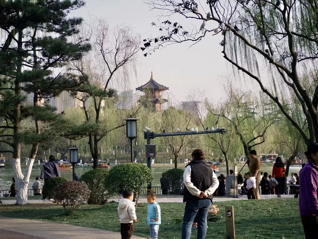 旅游推荐一人游：在城🌟市旅行是白天不想出门和晚上出门吃饭的连续…西安重庆游（更新中）