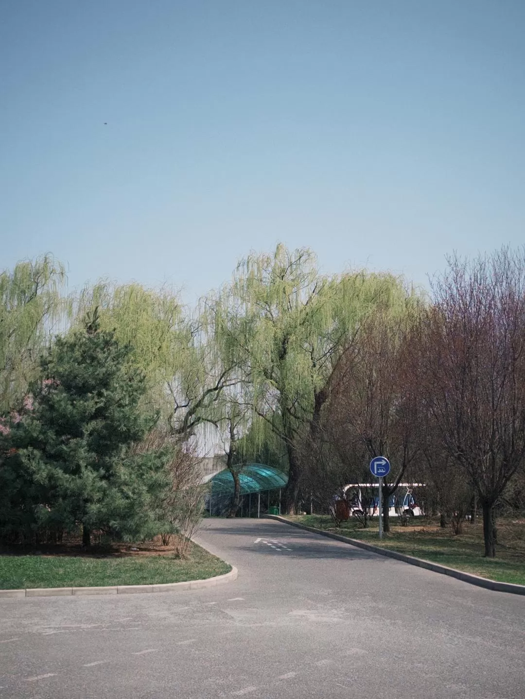 旅游推荐一人游：在城🌟市旅行是白天不想出门和晚上出门吃饭的连续…西安重庆游（更新中）