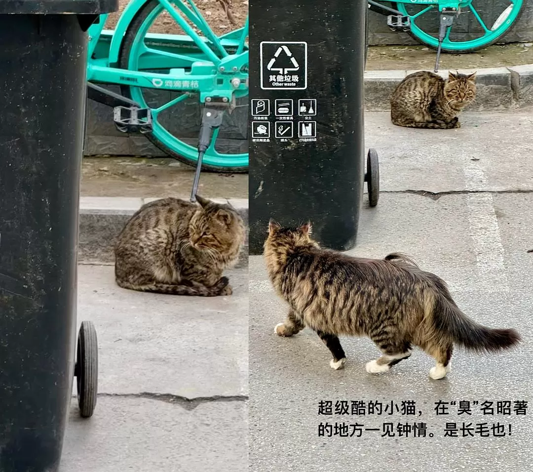 旅游推荐一人游：在城🌟市旅行是白天不想出门和晚上出门吃饭的连续…西安重庆游（更新中）