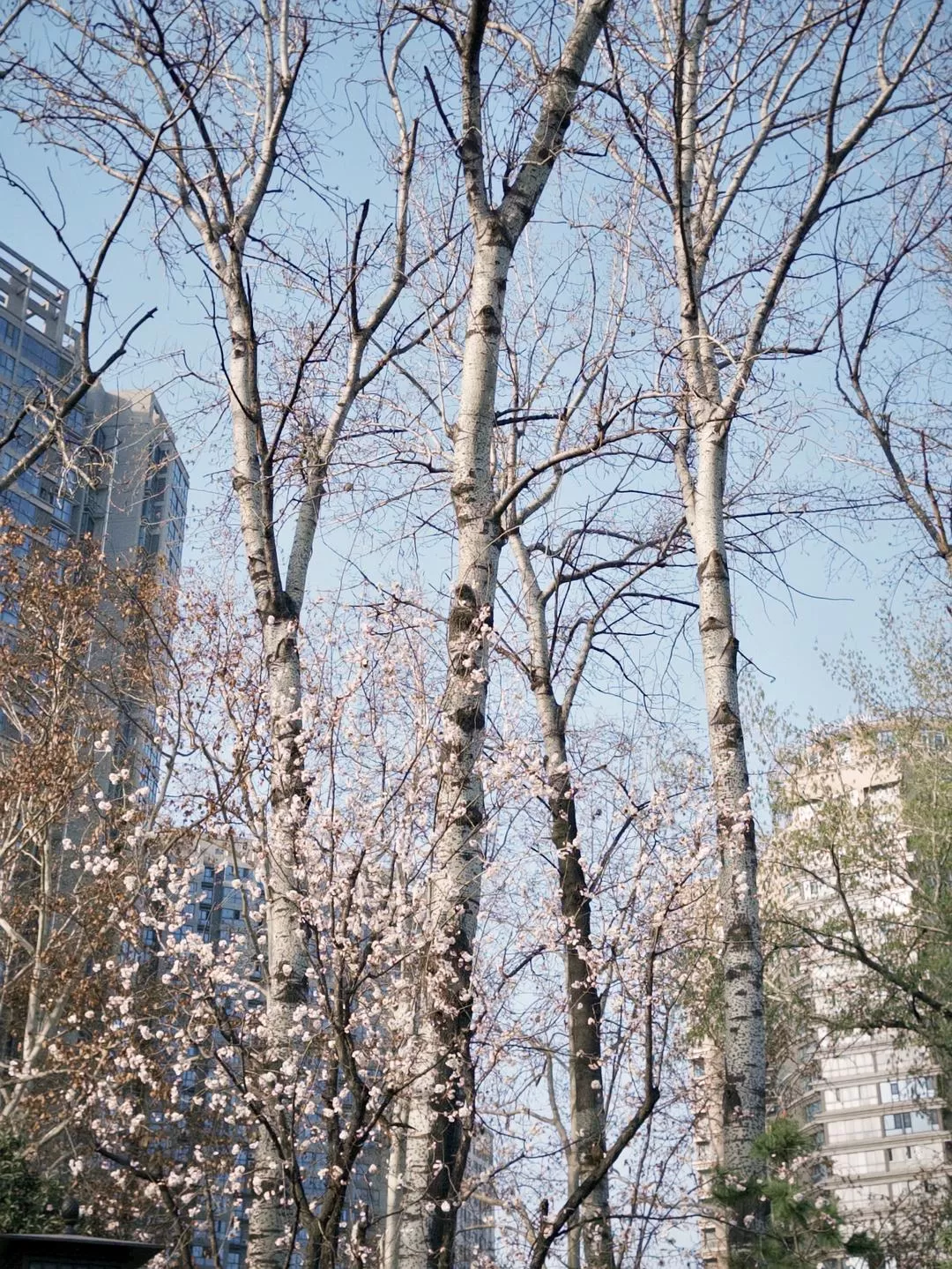 旅游推荐一人游：在城🌟市旅行是白天不想出门和晚上出门吃饭的连续…西安重庆游（更新中）