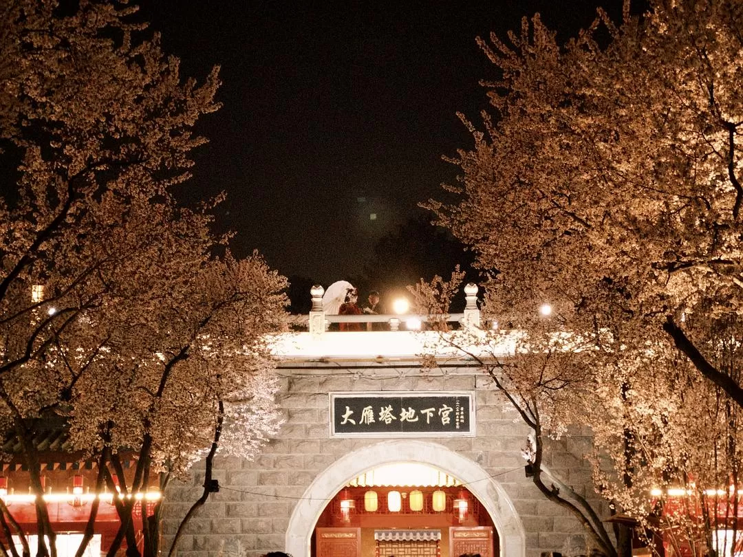 旅游推荐一人游：在城🌟市旅行是白天不想出门和晚上出门吃饭的连续…西安重庆游（更新中）