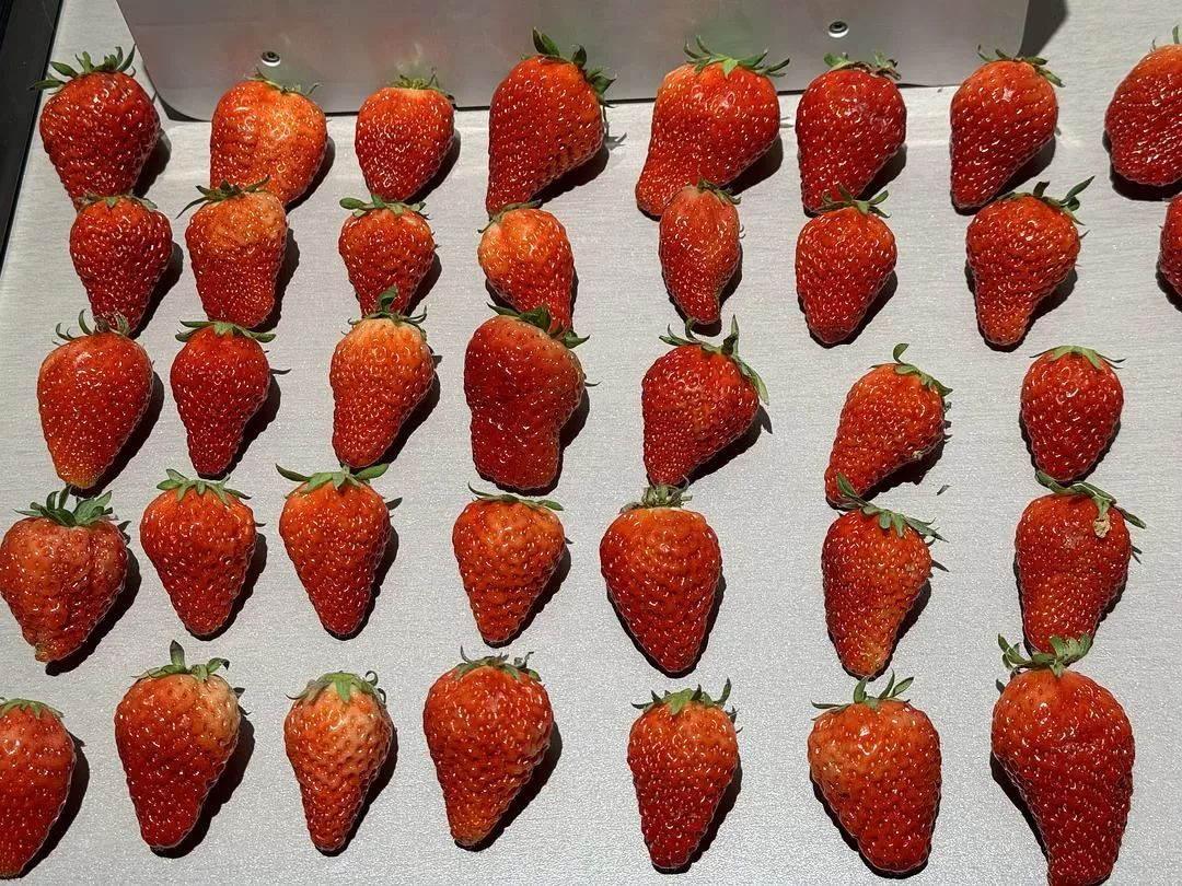 旅游推荐一人游：在城🌟市旅行是白天不想出门和晚上出门吃饭的连续…西安重庆游（更新中）