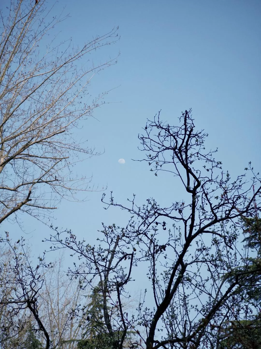 旅游推荐一人游：在城🌟市旅行是白天不想出门和晚上出门吃饭的连续…西安重庆游（更新中）
