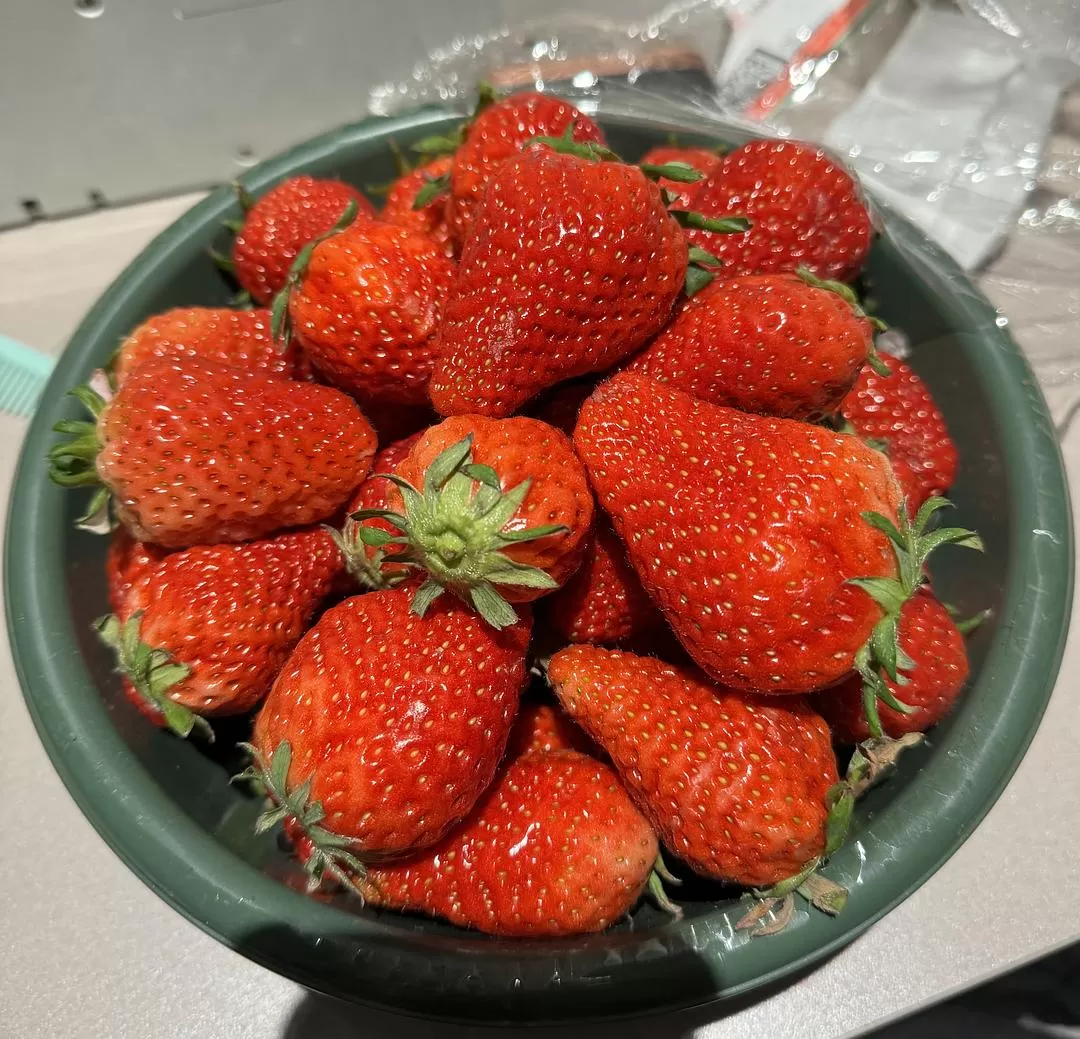 旅游推荐一人游：在城🌟市旅行是白天不想出门和晚上出门吃饭的连续…西安重庆游（更新中）