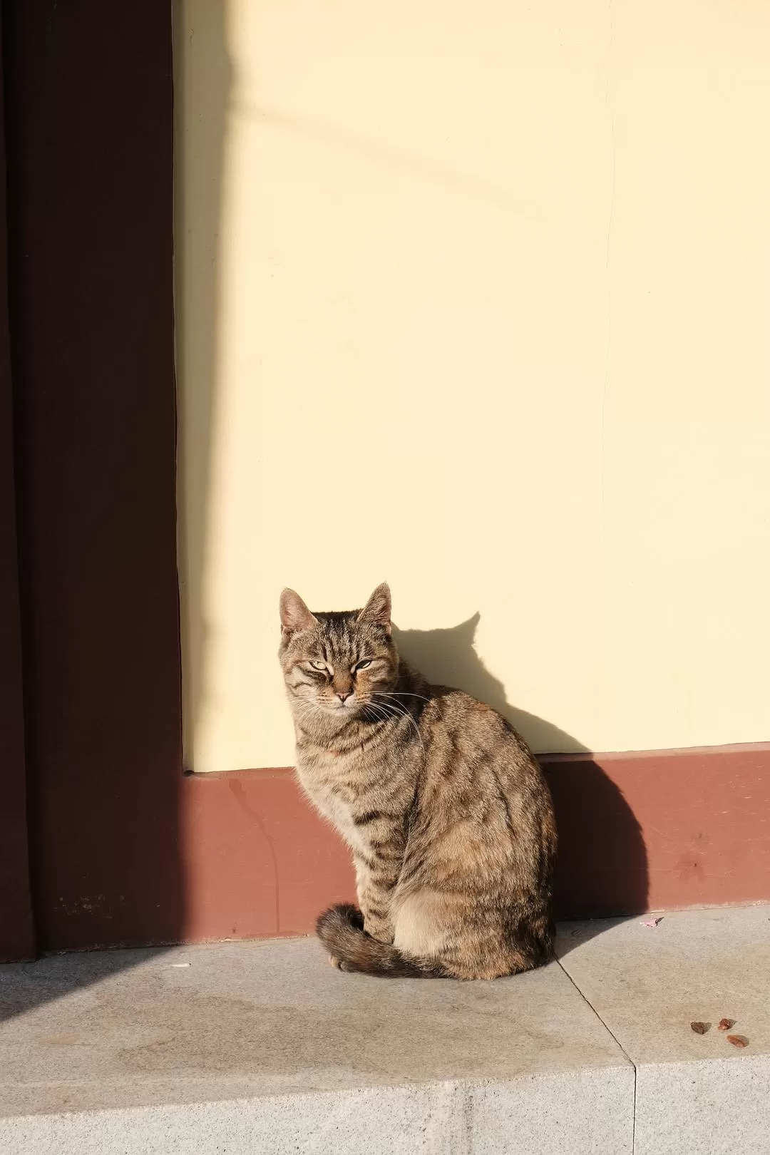 旅游推荐一人游：西安四日🧧游