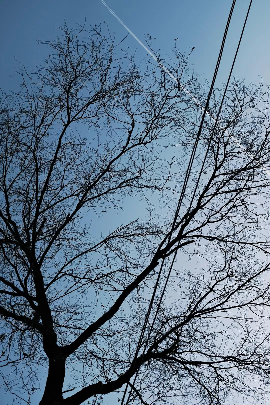 旅游推荐一人游：西安四日🧧游