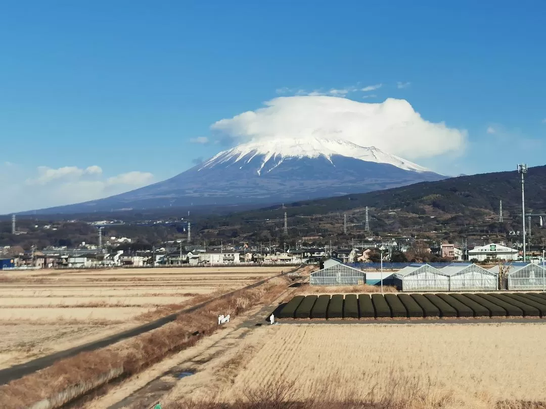 旅游推荐国外游：日📢本阪进东出九日游