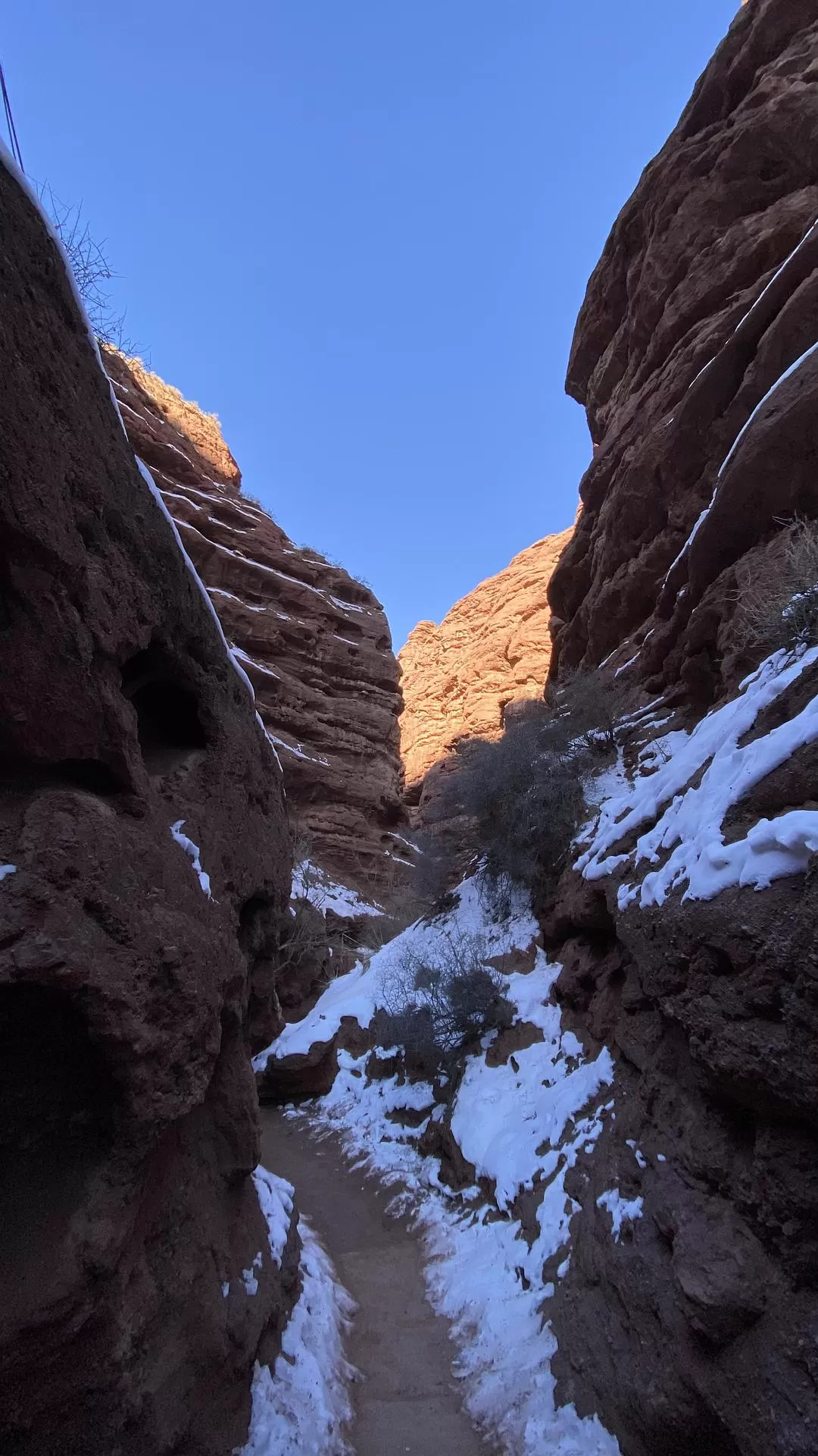 旅游推荐一人游：淡季4天兰州-张掖💫-敦煌游记