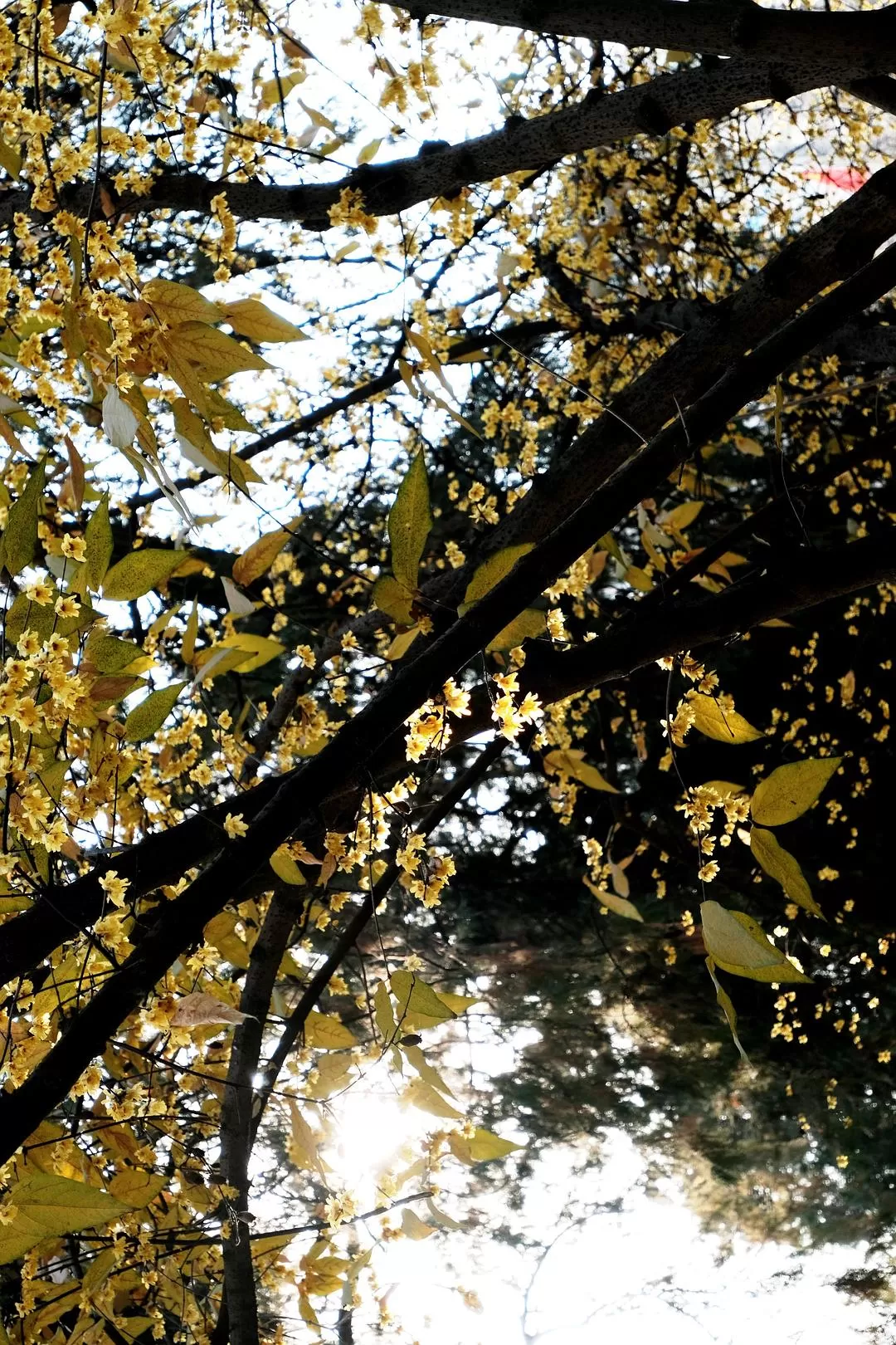 旅游推荐一人游：西安四日🧧游