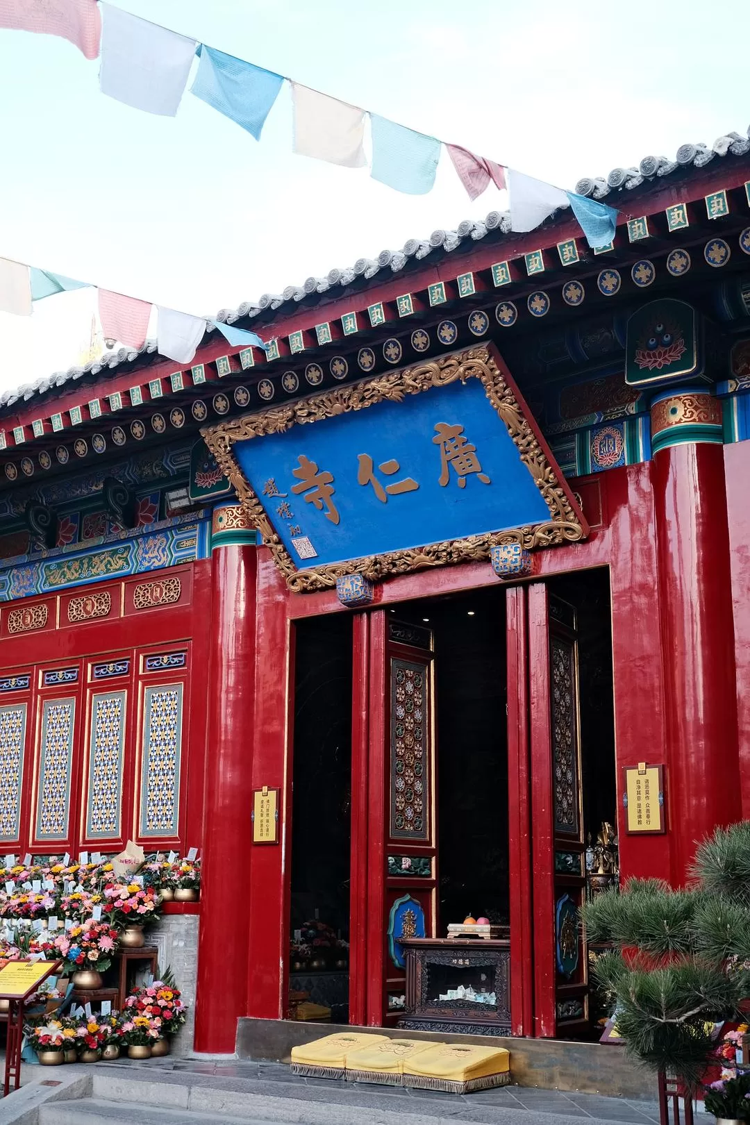 旅游推荐一人游：西安四日🧧游