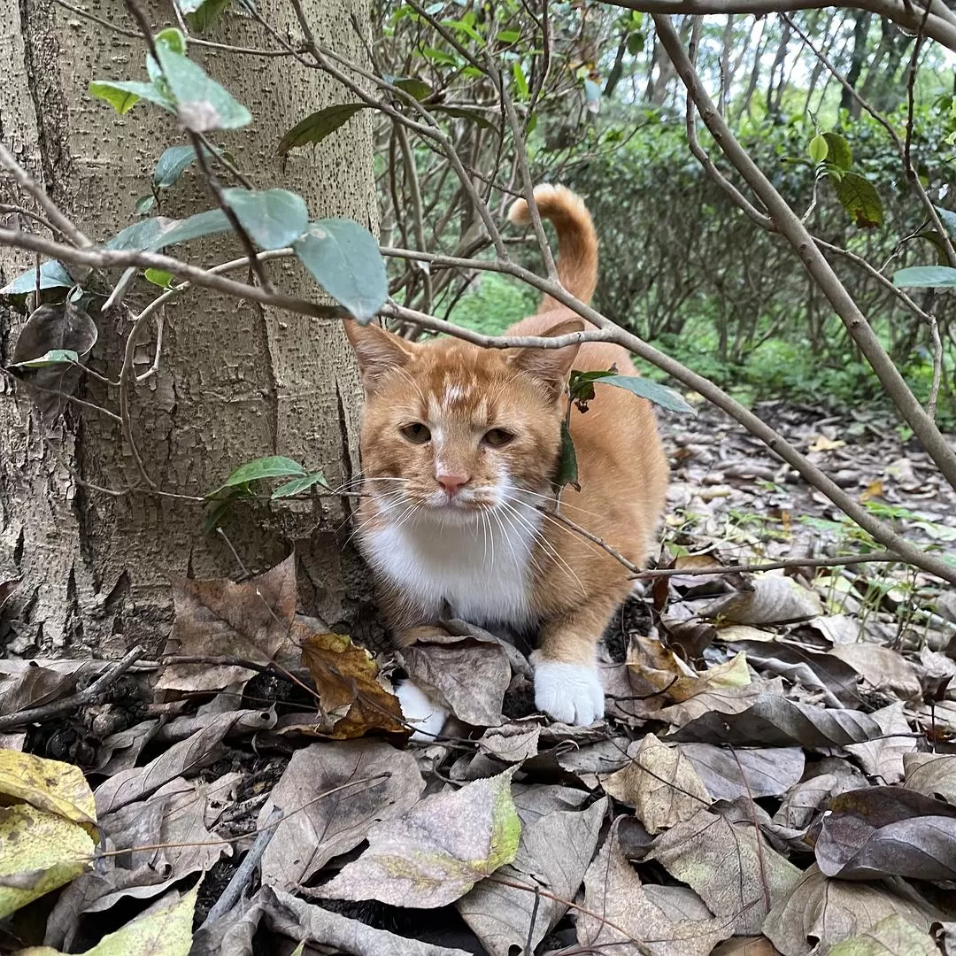 旅游💞推荐一人游：10月苏州成功