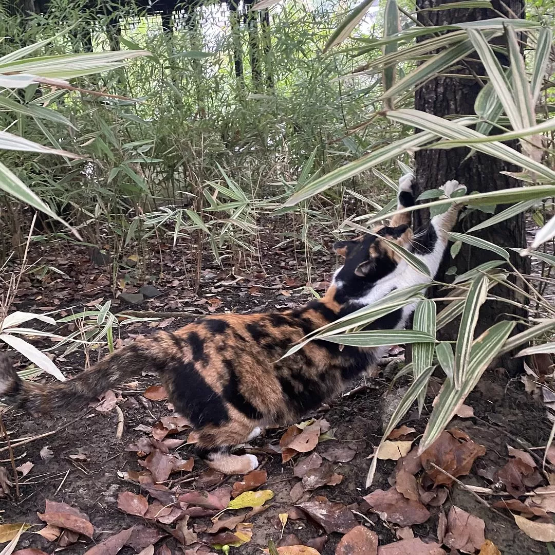 旅游💞推荐一人游：10月苏州成功