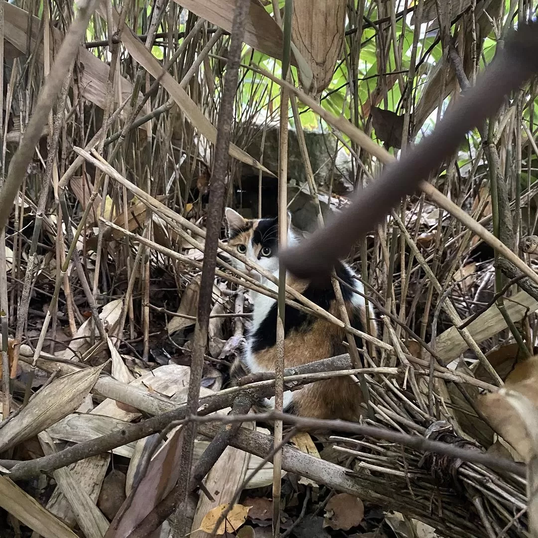 旅游💞推荐一人游：10月苏州成功