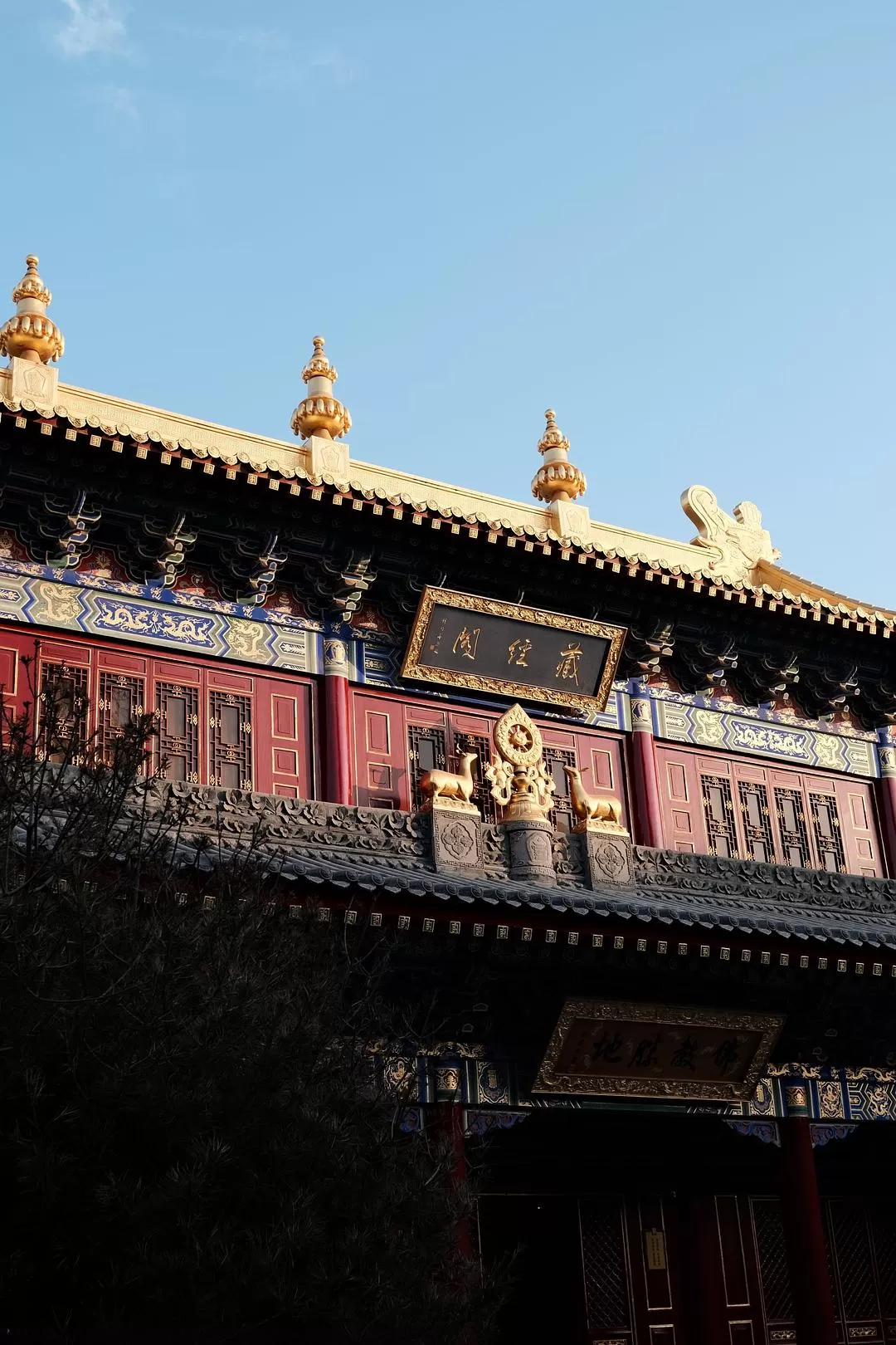 旅游推荐一人游：西安四日🧧游