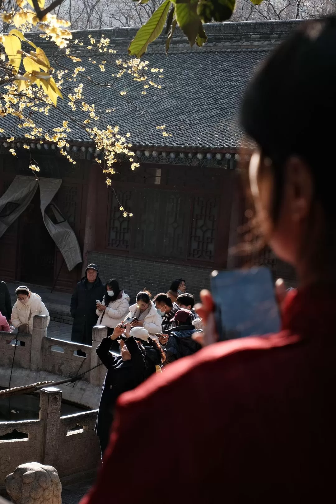 旅游推荐一人游：西安四日🧧游