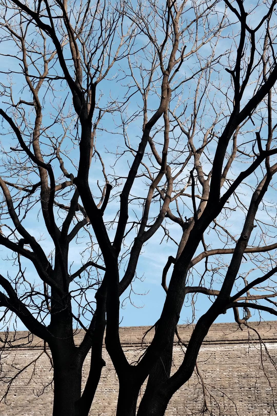 旅游推荐一人游：西安四日🧧游