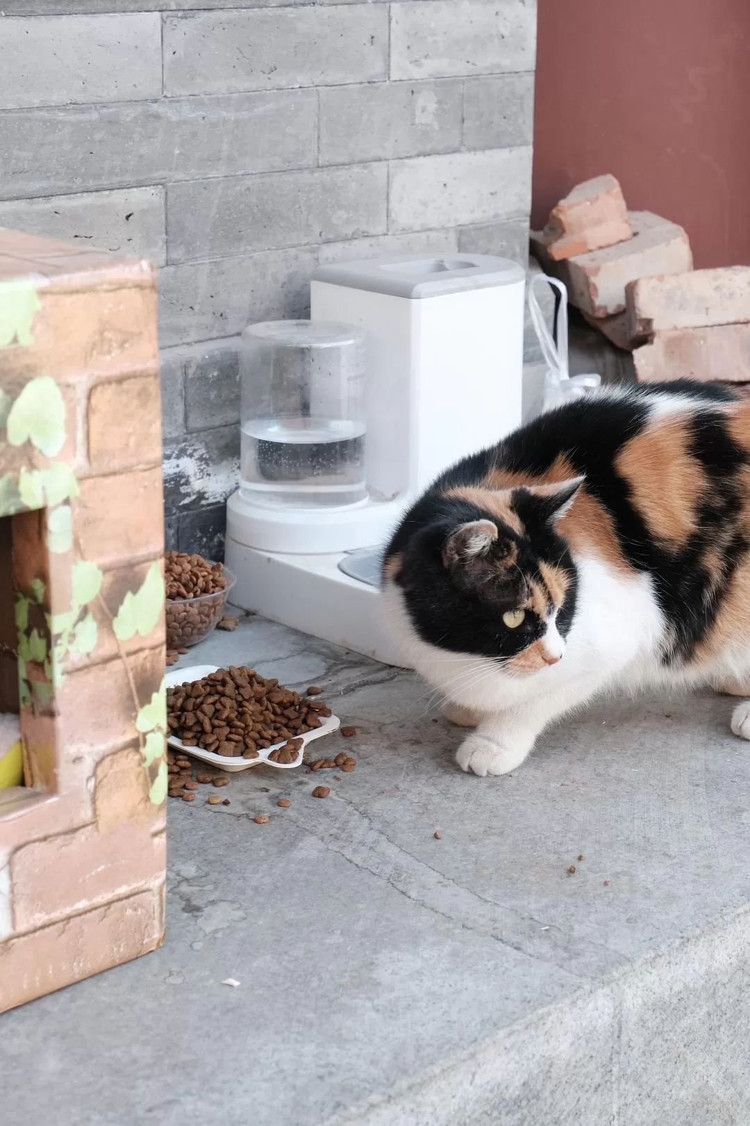 旅游推荐一人游：西安四日🧧游