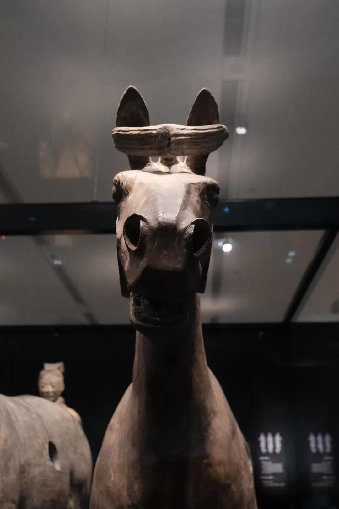 旅游推荐一人游：西安四日🧧游