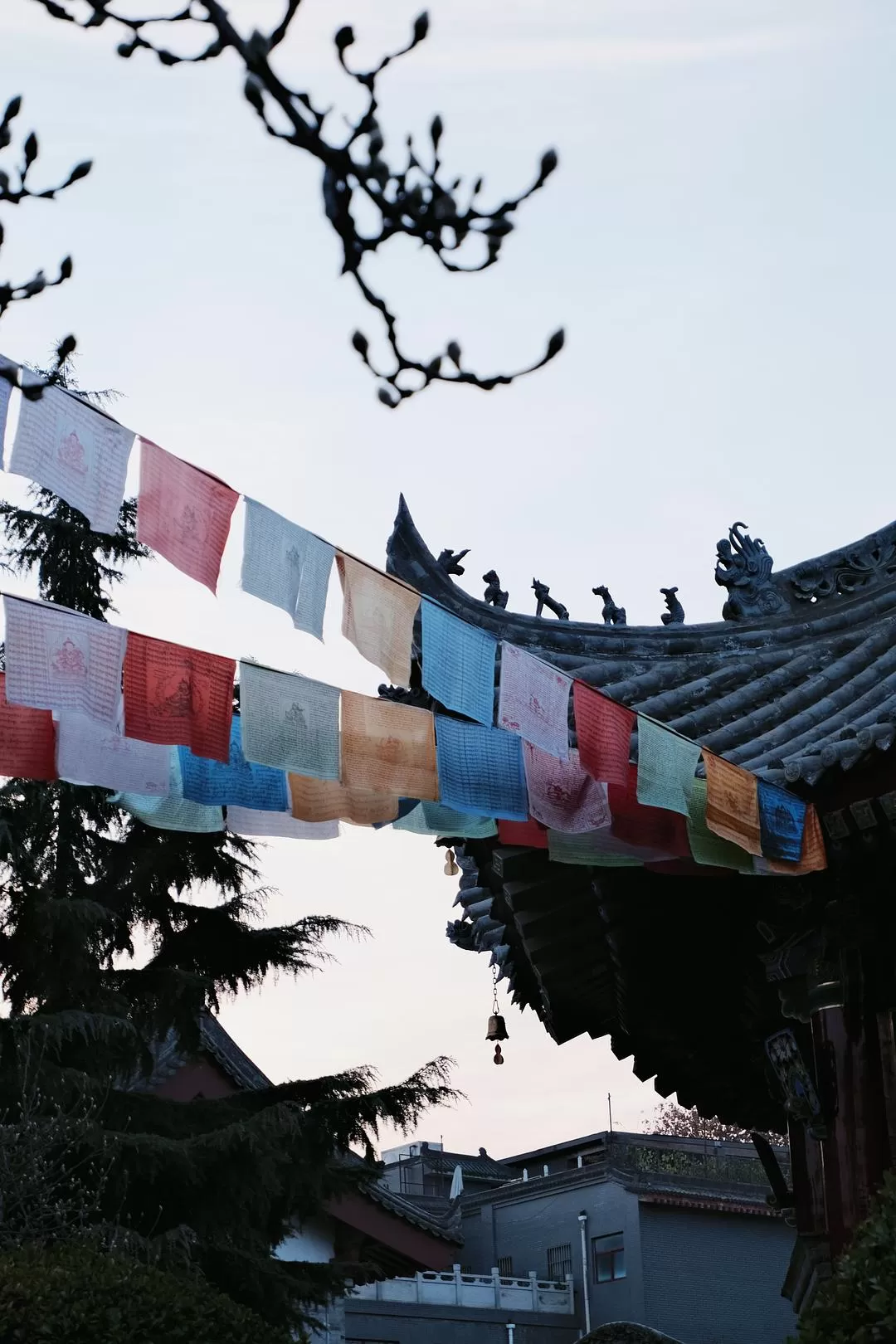 旅游推荐一人游：西安四日🧧游