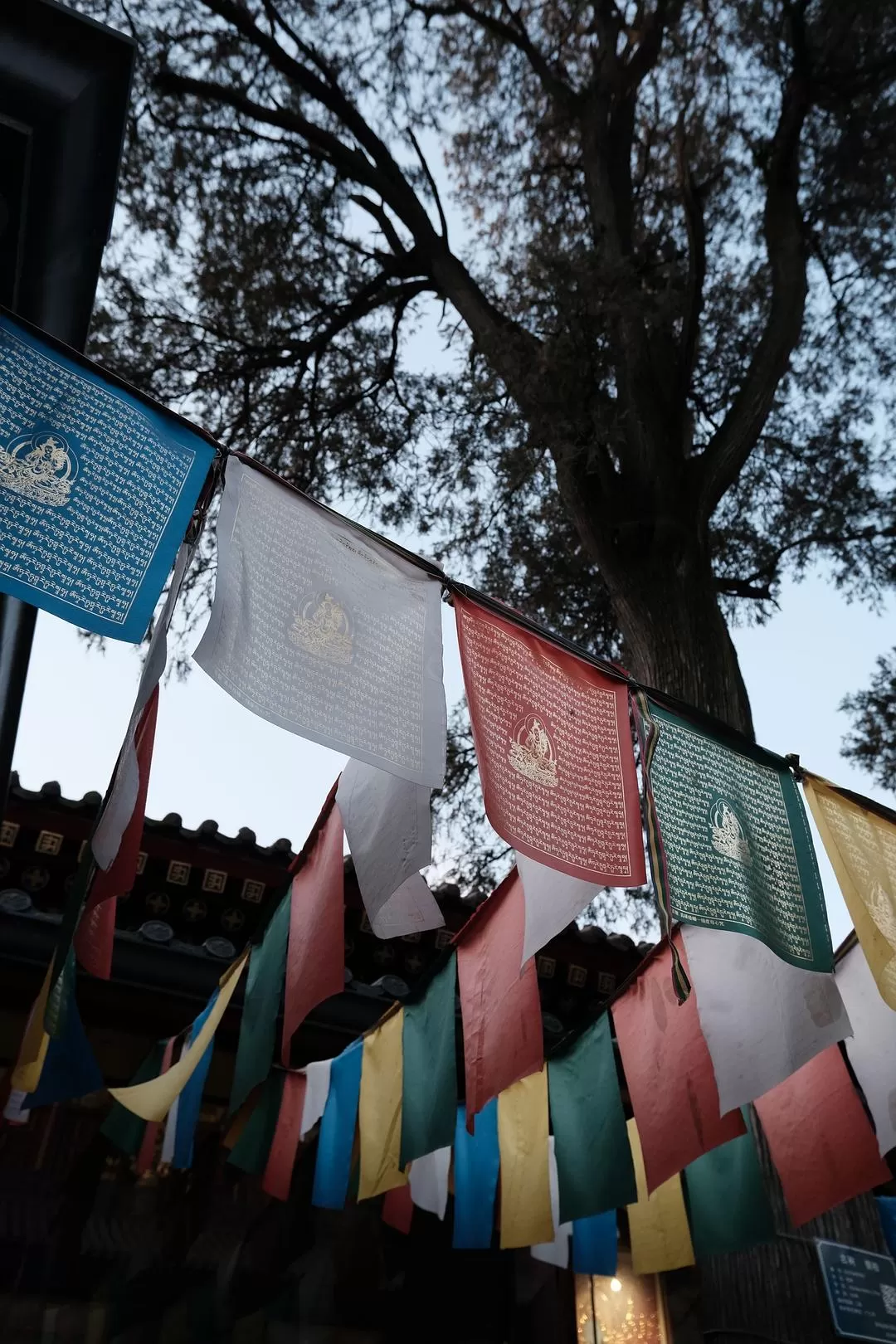 旅游推荐一人游：西安四日🧧游