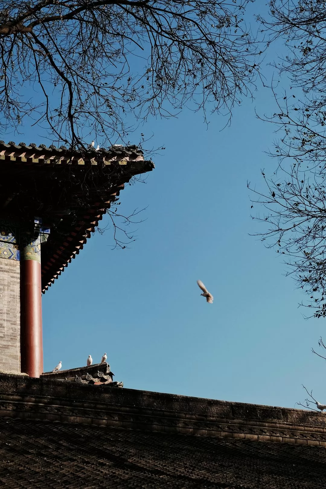 旅游推荐一人游：西安四日🧧游